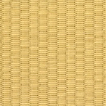 銀白100A02 黄金色