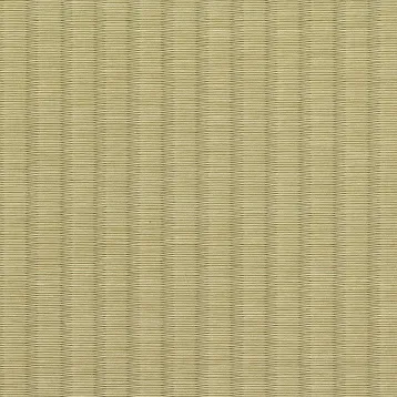 銀白100A16 若草色