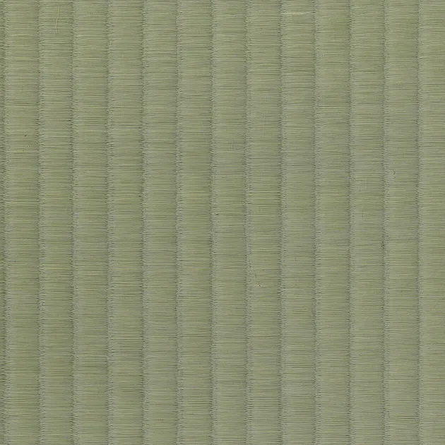 茶室用畳 無一物 畳表