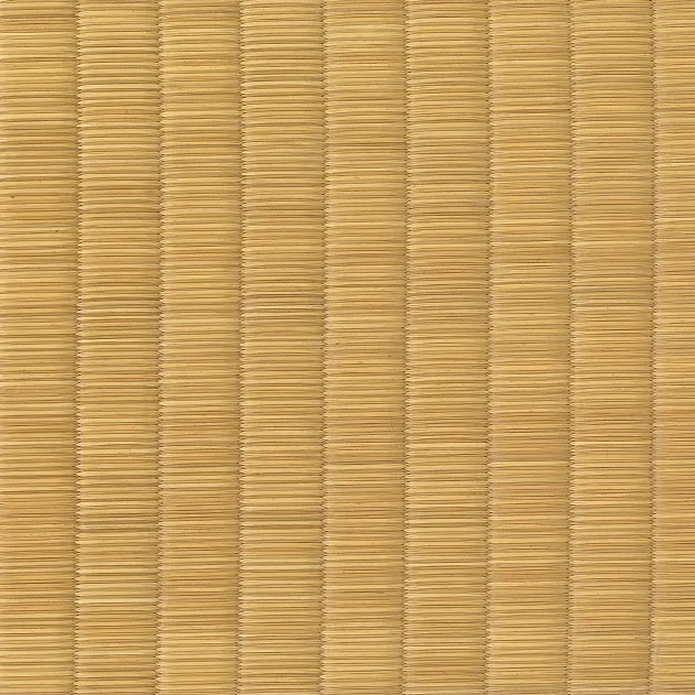 龍備表 床の間専用 畳表